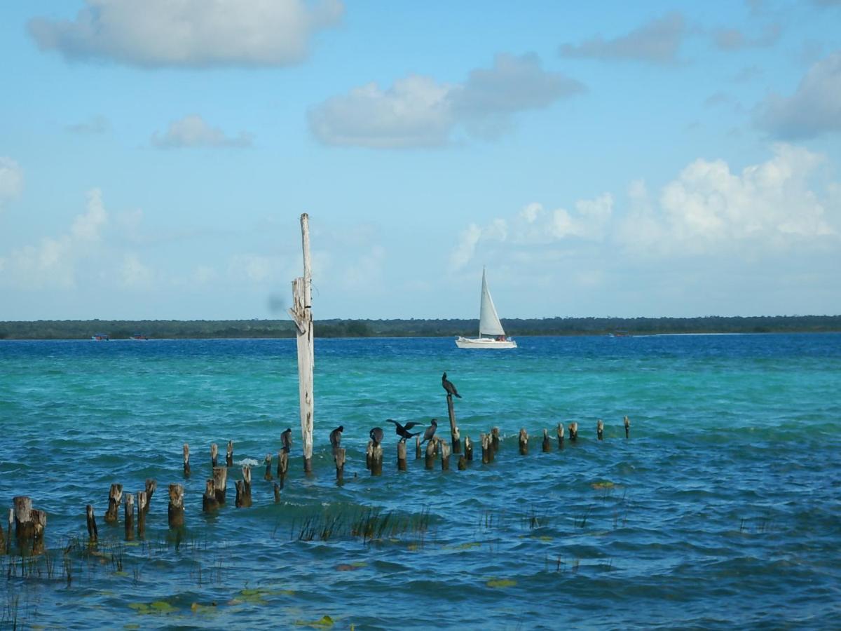 Villa Marilu B&B Bacalar Zewnętrze zdjęcie